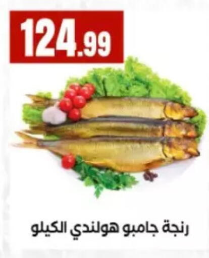 available at مارت فيل in Egypt - القاهرة