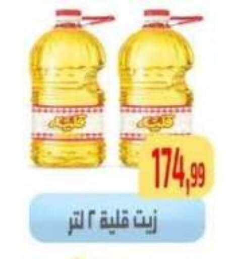 available at مؤسسة ايهاب البرنس in Egypt - القاهرة