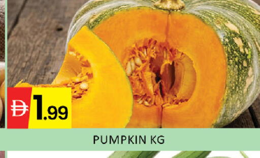 Pumpkin available at المدينة in الإمارات العربية المتحدة , الامارات - رَأْس ٱلْخَيْمَة