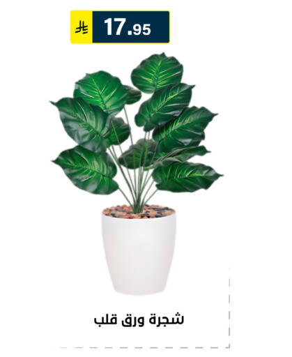available at Al Hussain Top Up in KSA, Saudi Arabia, Saudi - Riyadh