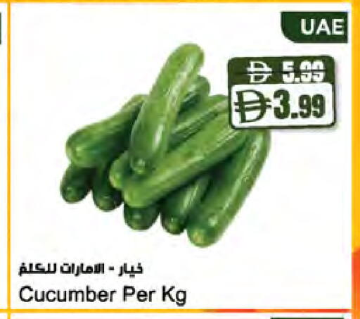 Cucumber available at Almaya Supermarkets in UAE - Dubai