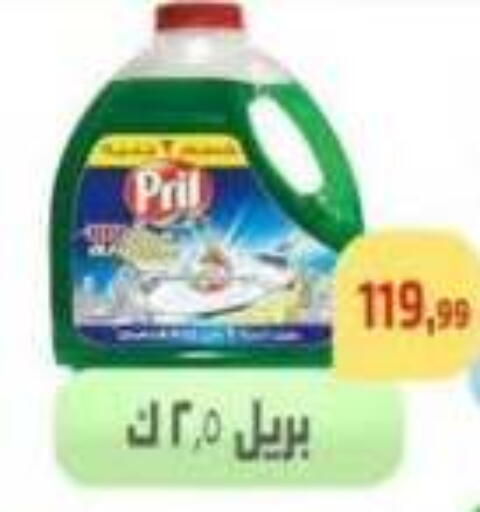 available at مؤسسة ايهاب البرنس in Egypt - القاهرة