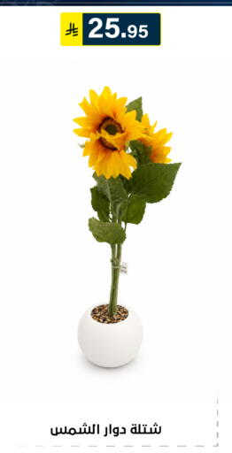 available at Al Hussain Top Up in KSA, Saudi Arabia, Saudi - Riyadh