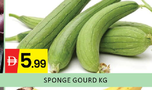 available at المدينة in الإمارات العربية المتحدة , الامارات - رَأْس ٱلْخَيْمَة
