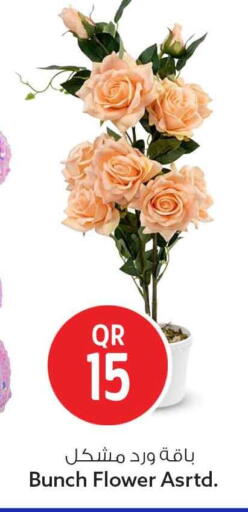 available at Safari Hypermarket in Qatar - Al Shamal