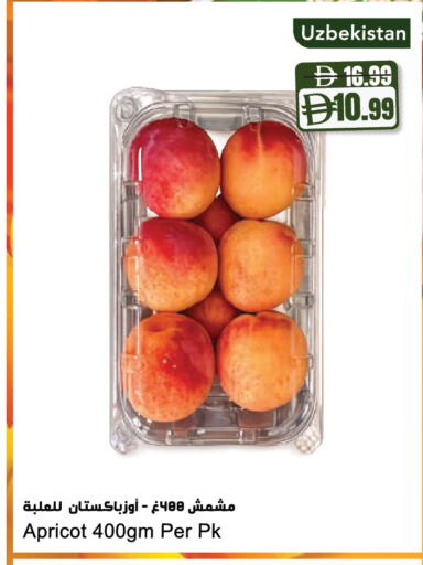 Apricot available at Almaya Supermarkets in UAE - Dubai
