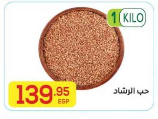 available at El Mahallawy Market  in Egypt - Cairo