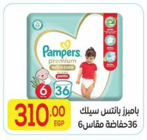 available at El Mahallawy Market  in Egypt - Cairo