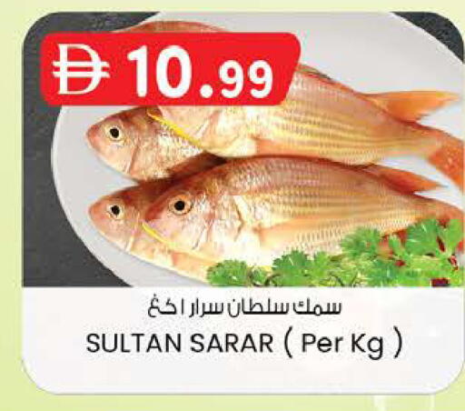 available at ك. إم. هايبرماركت in الإمارات العربية المتحدة , الامارات - ٱلْعَيْن‎