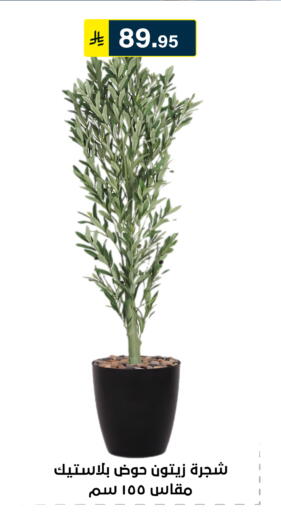 available at الحسين توب أب in مملكة العربية السعودية, السعودية, سعودية - الرياض