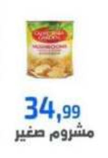 available at Ehab Prince in Egypt - Cairo