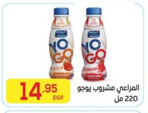 available at El Mahallawy Market  in Egypt - Cairo