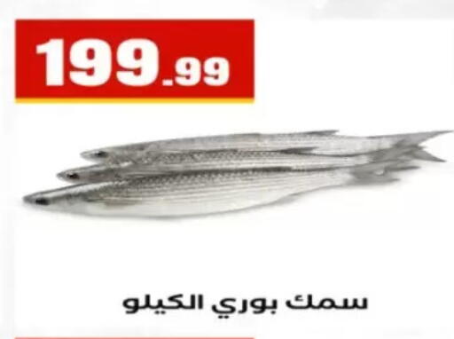 available at مارت فيل in Egypt - القاهرة