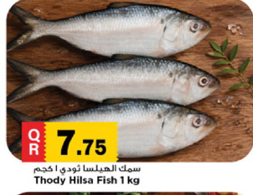available at Marza Hypermarket in Qatar - Al Wakra