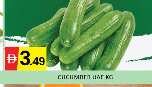 Cucumber available at المدينة in الإمارات العربية المتحدة , الامارات - رَأْس ٱلْخَيْمَة