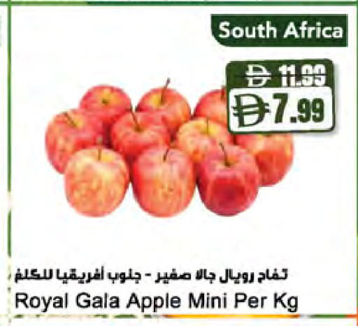 Apple from South Africa available at Almaya Supermarkets in UAE - Dubai