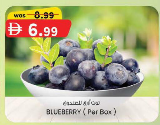 Blueberry BlueBerry available at K M Trading  in UAE - Fujairah