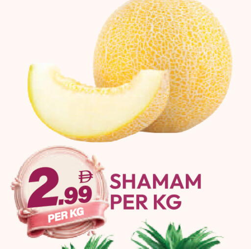 available at دريم لاند in الإمارات العربية المتحدة , الامارات - دبي