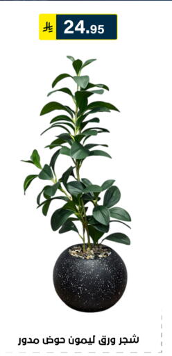 available at Al Hussain Top Up in KSA, Saudi Arabia, Saudi - Riyadh
