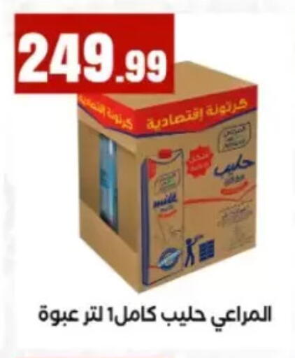 available at مارت فيل in Egypt - القاهرة