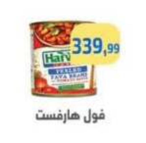 available at مؤسسة ايهاب البرنس in Egypt - القاهرة