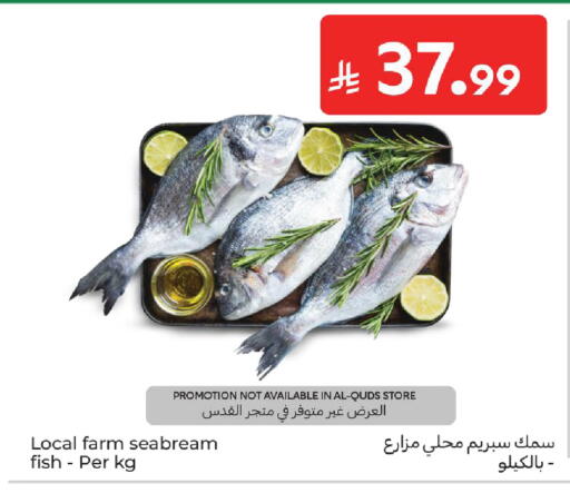 available at كارفور in مملكة العربية السعودية, السعودية, سعودية - سكاكا