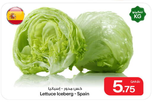 Lettuce from Spain available at Bin Dawood Market in Qatar - Doha