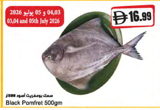 available at Almaya Supermarkets in UAE - Dubai