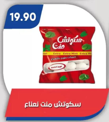 Mint available at Bassem Market in Egypt - Cairo