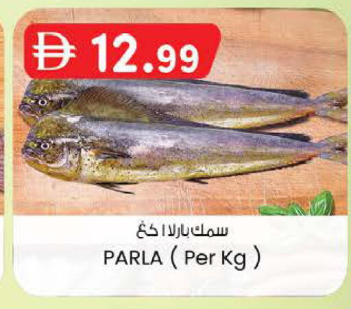 available at ك. إم. هايبرماركت in الإمارات العربية المتحدة , الامارات - ٱلْعَيْن‎