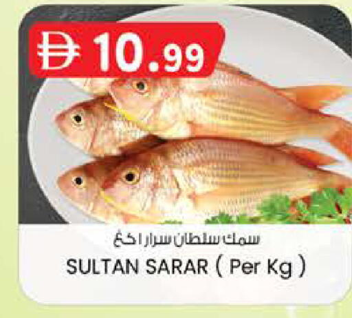 available at الصفا in الإمارات العربية المتحدة , الامارات - ٱلْعَيْن‎