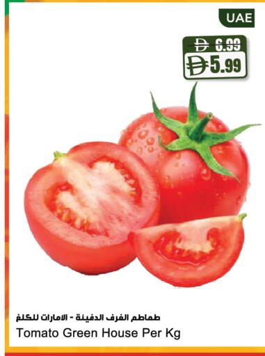 Tomato available at Almaya Supermarkets in UAE - Dubai