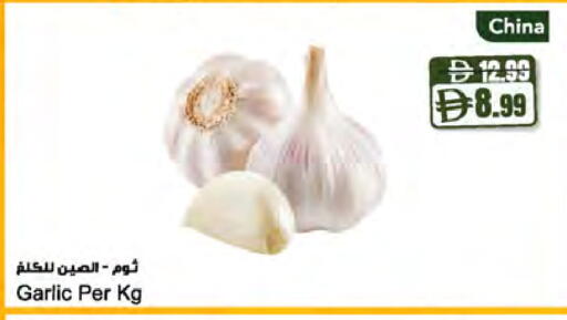 Garlic from China available at Almaya Supermarkets in UAE - Dubai