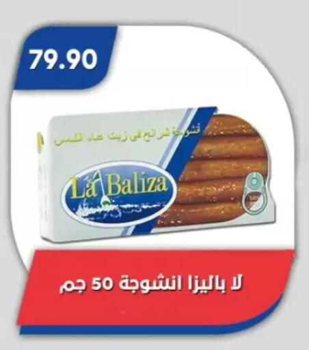 available at Bassem Market in Egypt - Cairo