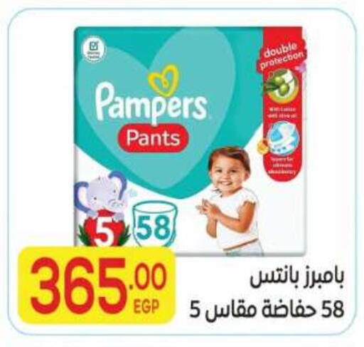 available at El Mahallawy Market  in Egypt - Cairo