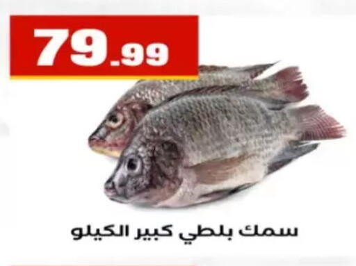 available at مارت فيل in Egypt - القاهرة