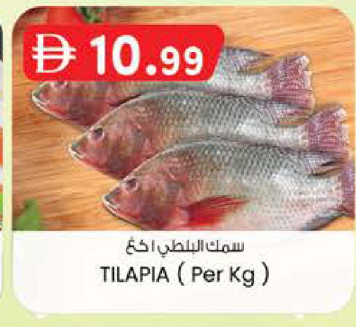 available at الصفا in الإمارات العربية المتحدة , الامارات - ٱلْعَيْن‎