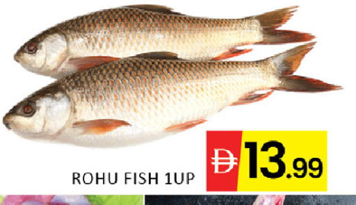 available at المدينة in الإمارات العربية المتحدة , الامارات - رَأْس ٱلْخَيْمَة