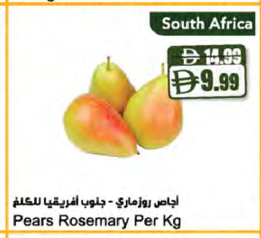 Rosemary from South Africa available at Almaya Supermarkets in UAE - Dubai