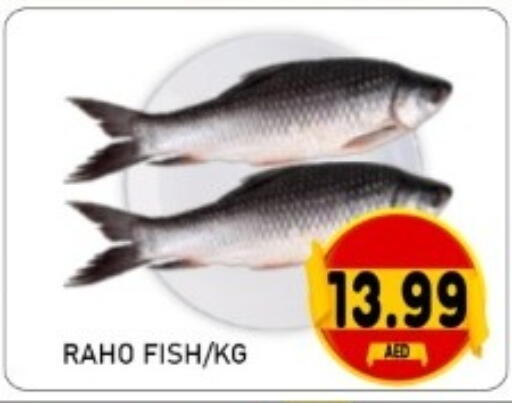 available at GREEN GIFT DEPARTMENT STORE in UAE - Abu Dhabi