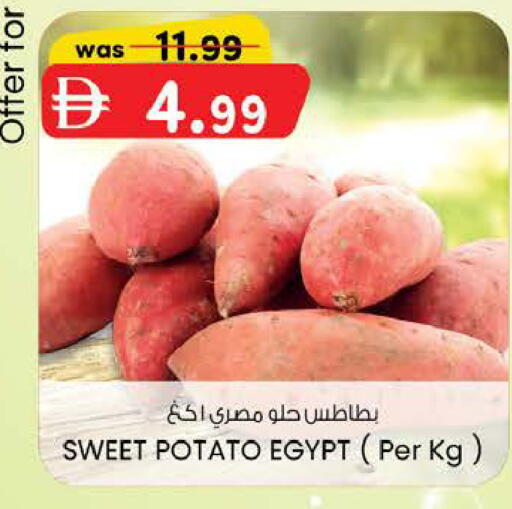 Sweet Potato from Egypt available at K M Trading  in UAE - Abu Dhabi