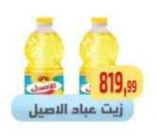available at مؤسسة ايهاب البرنس in Egypt - القاهرة