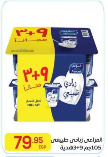 available at El Mahallawy Market  in Egypt - Cairo