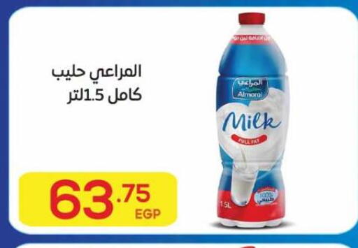 available at El Mahallawy Market  in Egypt - Cairo