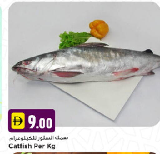 available at نيومارت هايبرماركت in الإمارات العربية المتحدة , الامارات - دبي