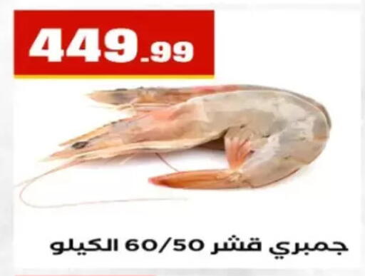 available at مارت فيل in Egypt - القاهرة