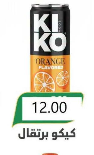 Orange available at El Mahallawy Market  in Egypt - Cairo