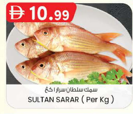 available at صفا هايبر in الإمارات العربية المتحدة , الامارات - ٱلْعَيْن‎