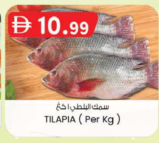available at ك. إم. هايبرماركت in الإمارات العربية المتحدة , الامارات - ٱلْعَيْن‎