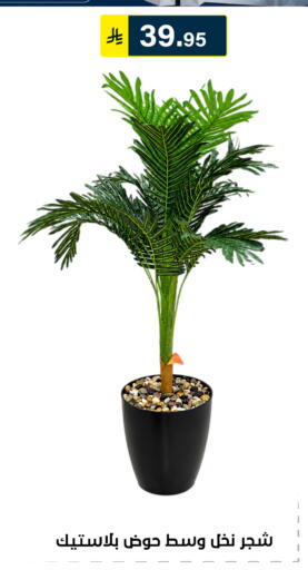 available at Al Hussain Top Up in KSA, Saudi Arabia, Saudi - Riyadh